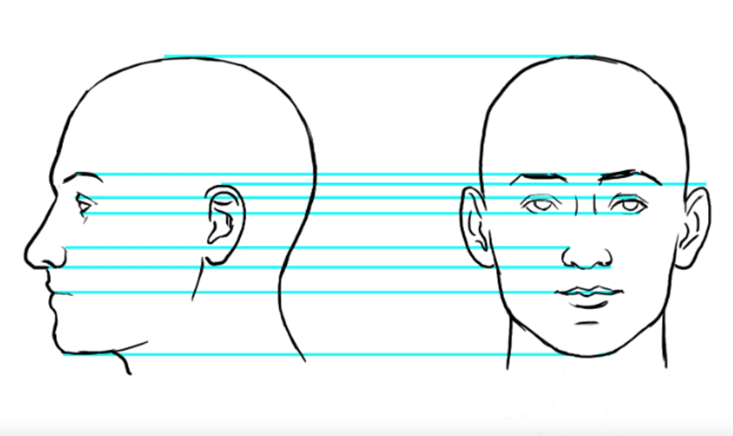 drawing faces diagram