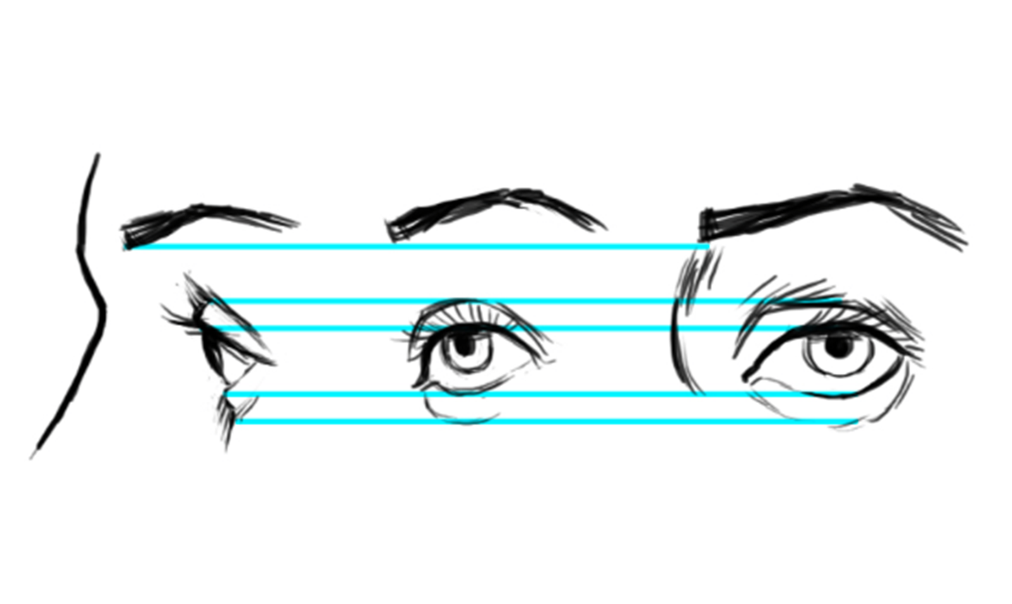 drawing eyes diagram