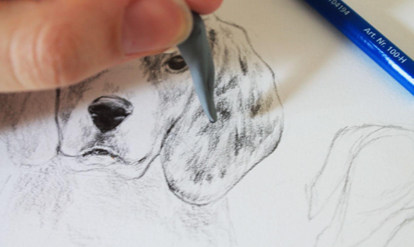 erasing dog fur in drawing