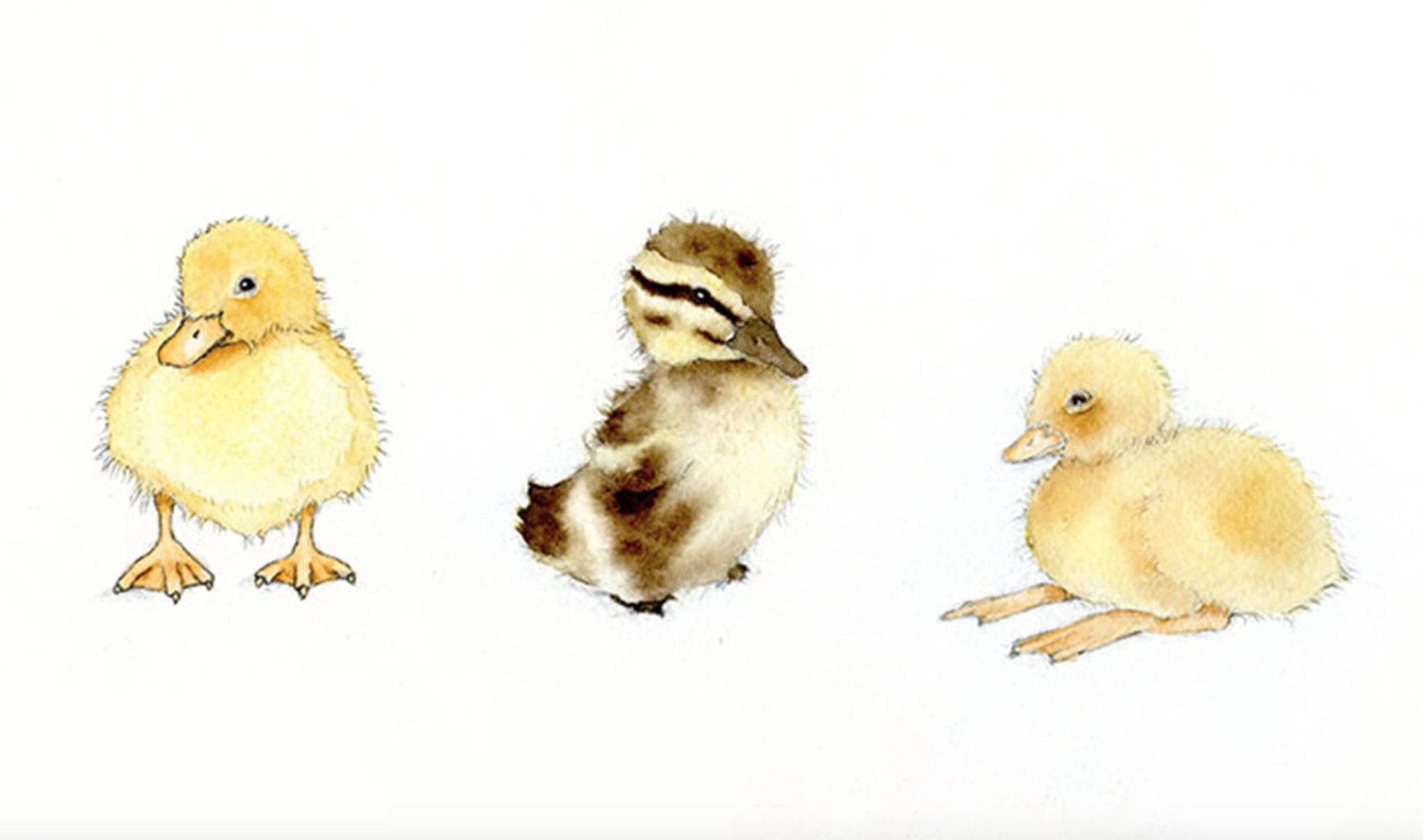 painted ducklings