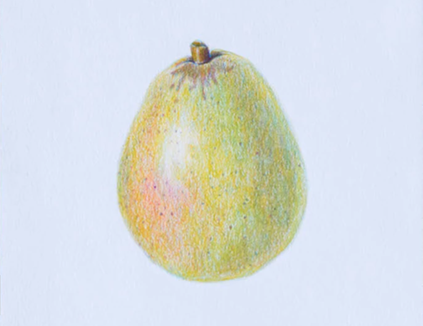 colored pencil pear