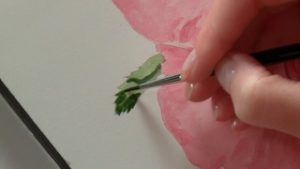 Pintar las hojas y el tallo