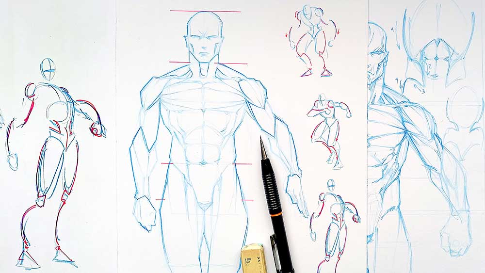 Dibujo De Anatomia
