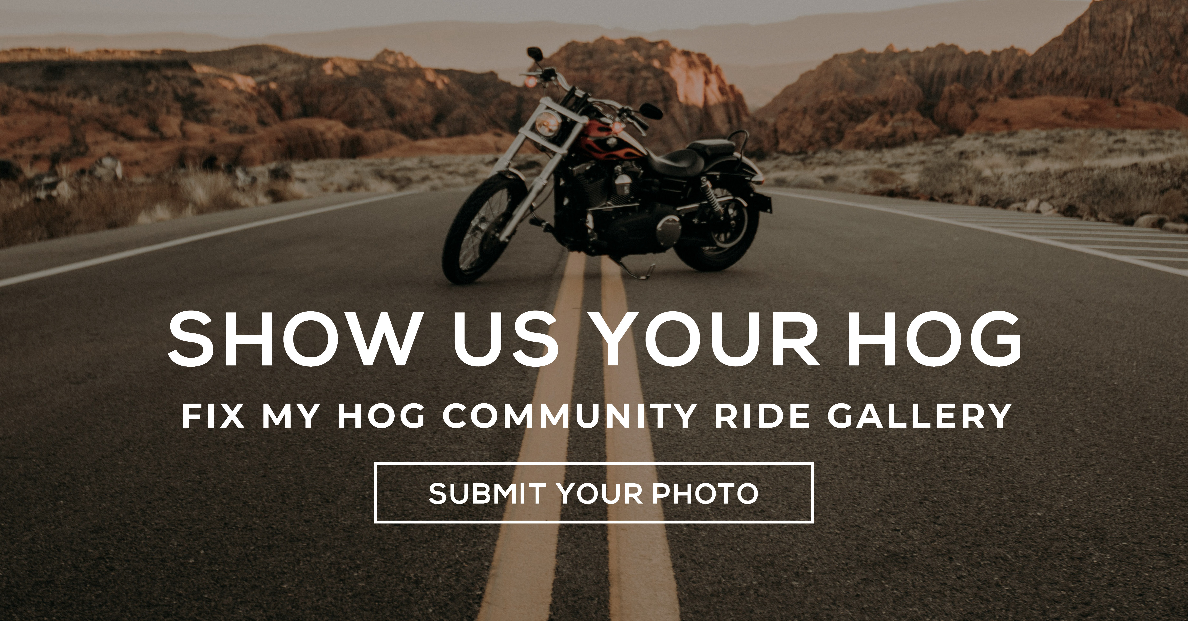 Show Us Your Hog Fix My Hog