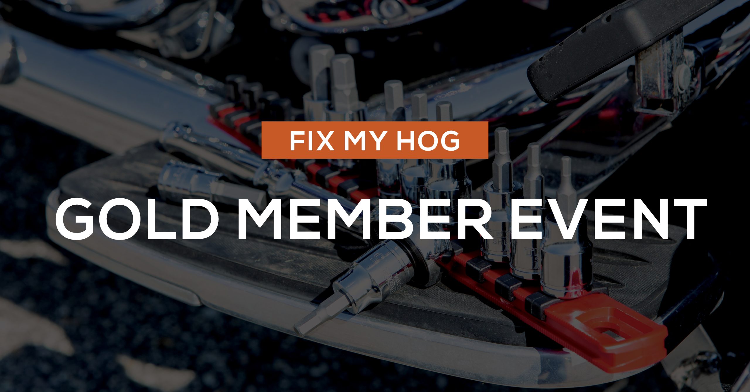 GOLD Event Engine Tear Down Fix My Hog
