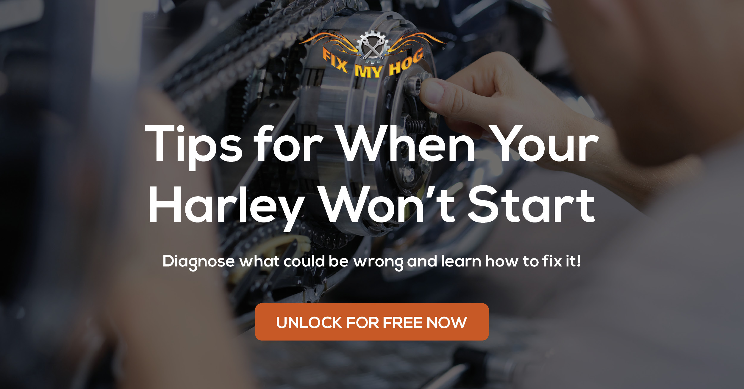 Tips for When Your Harley Won’t Start Fix My Hog