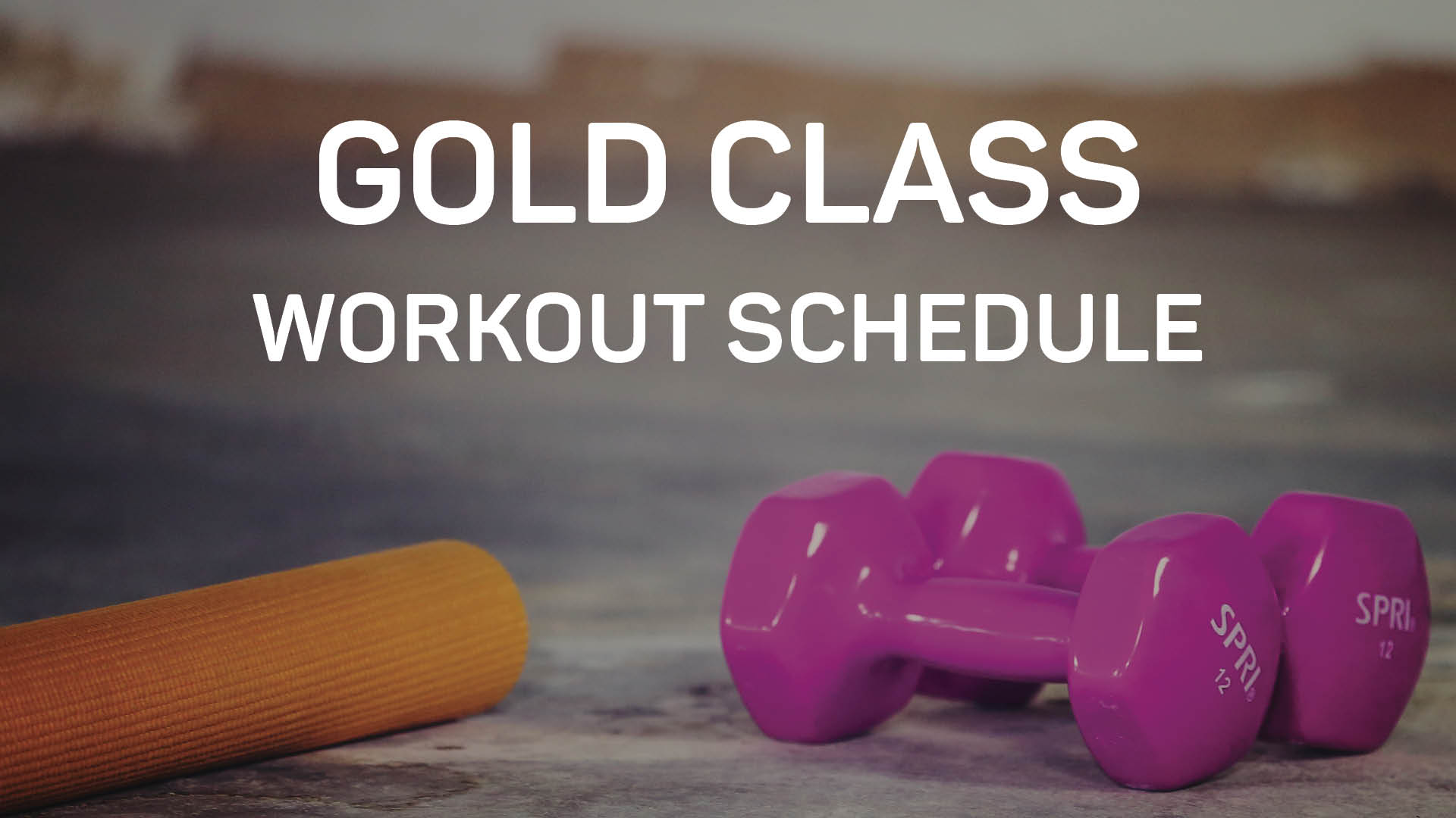 GOLD Monthly Workout Schedule | Get Healthy U TV