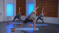 Yoga Basics: Mobility