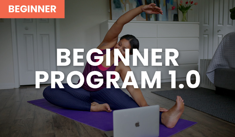 Beginner Program 1.0