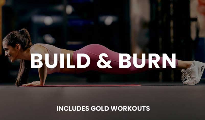 Build & Burn (Gold)