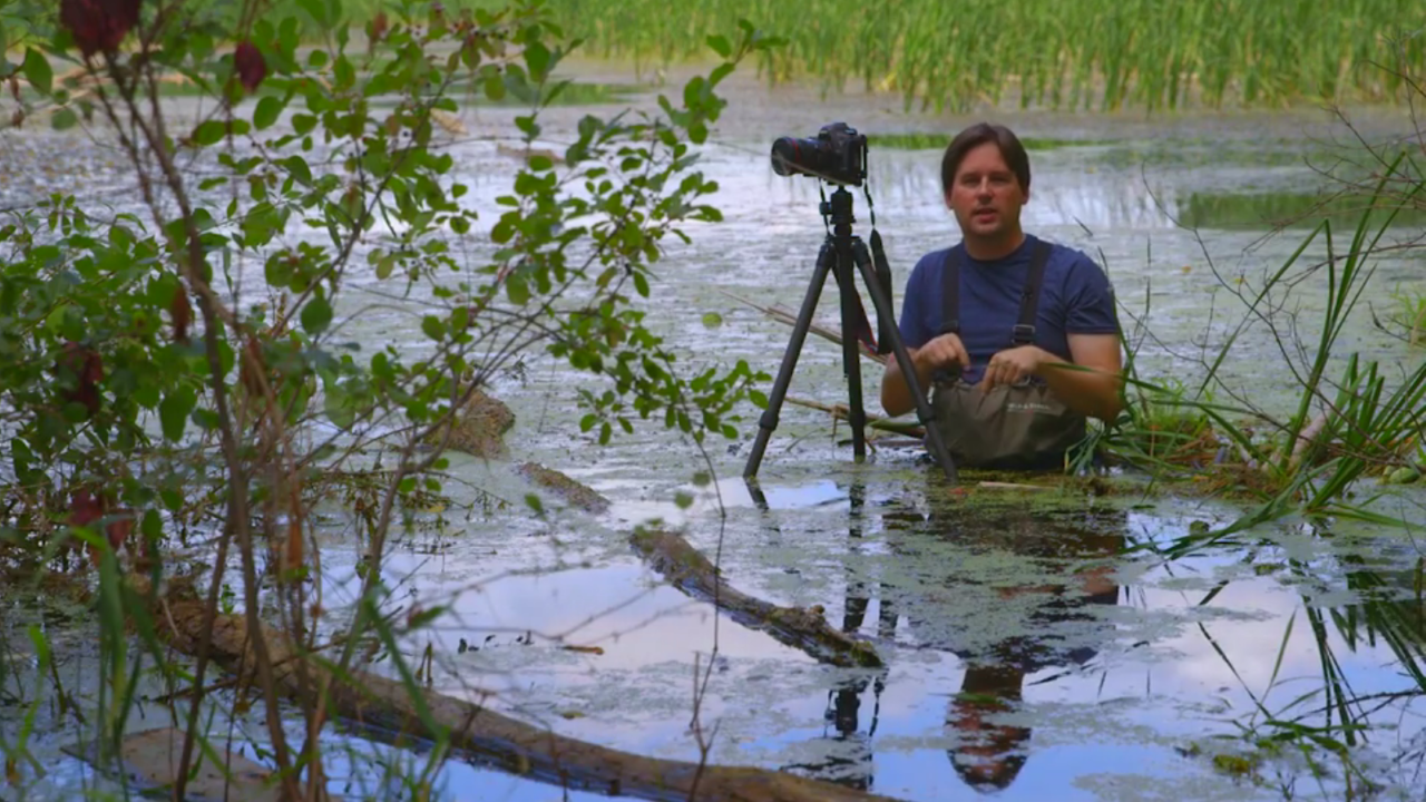 Featured image for this video