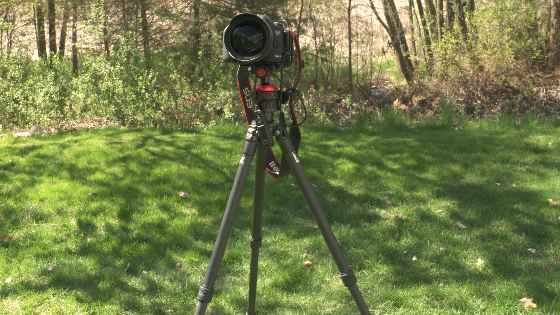 Featured image for this video