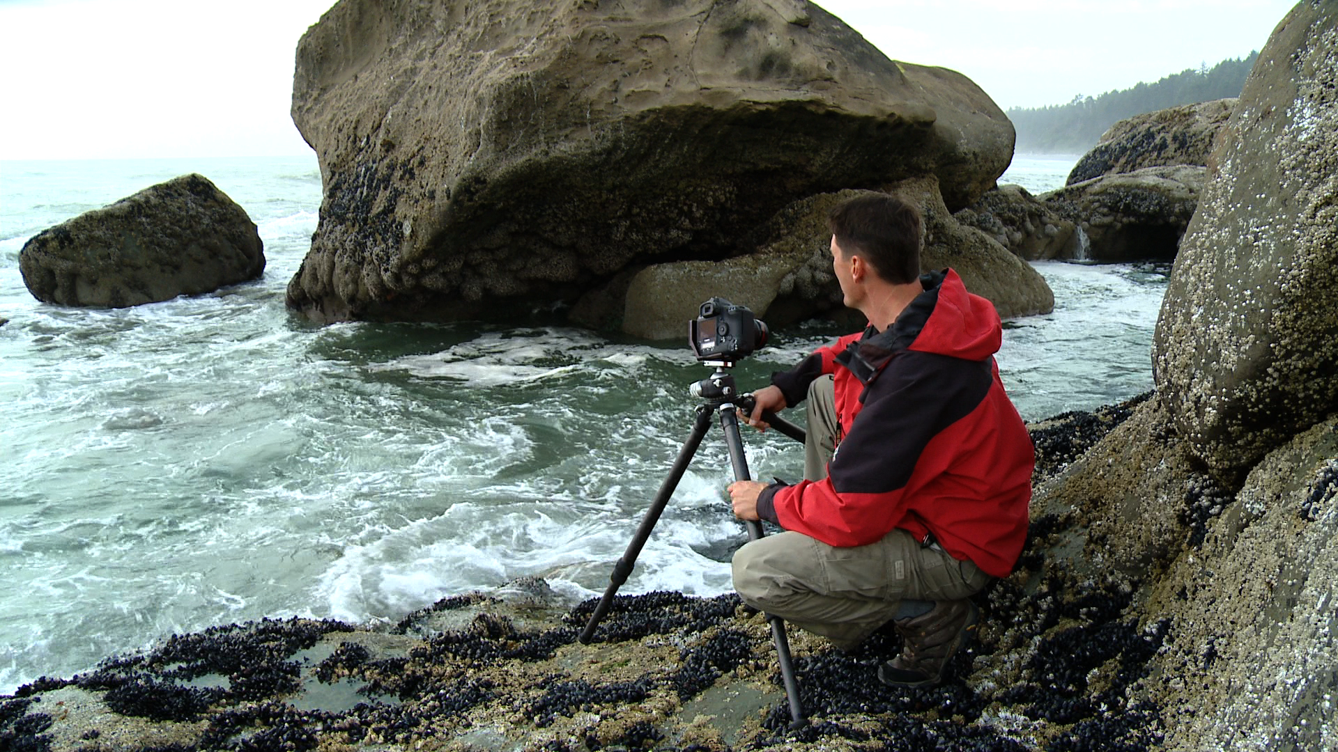 Featured image for this video