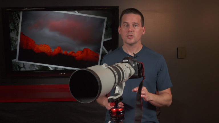 Canon 200-400mm Lens Review