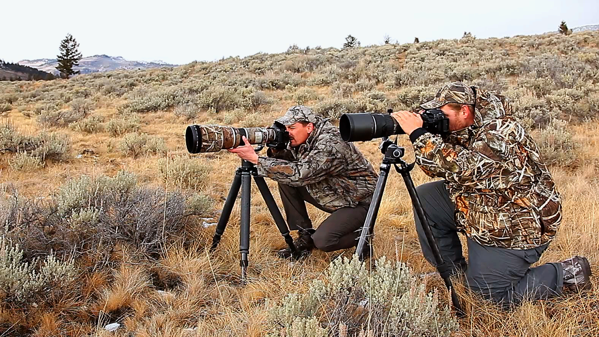 Featured image for this video