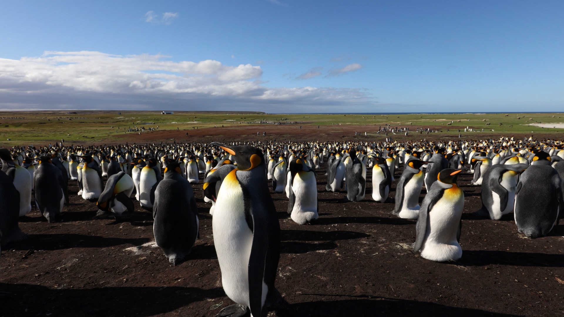 Featured image for this video