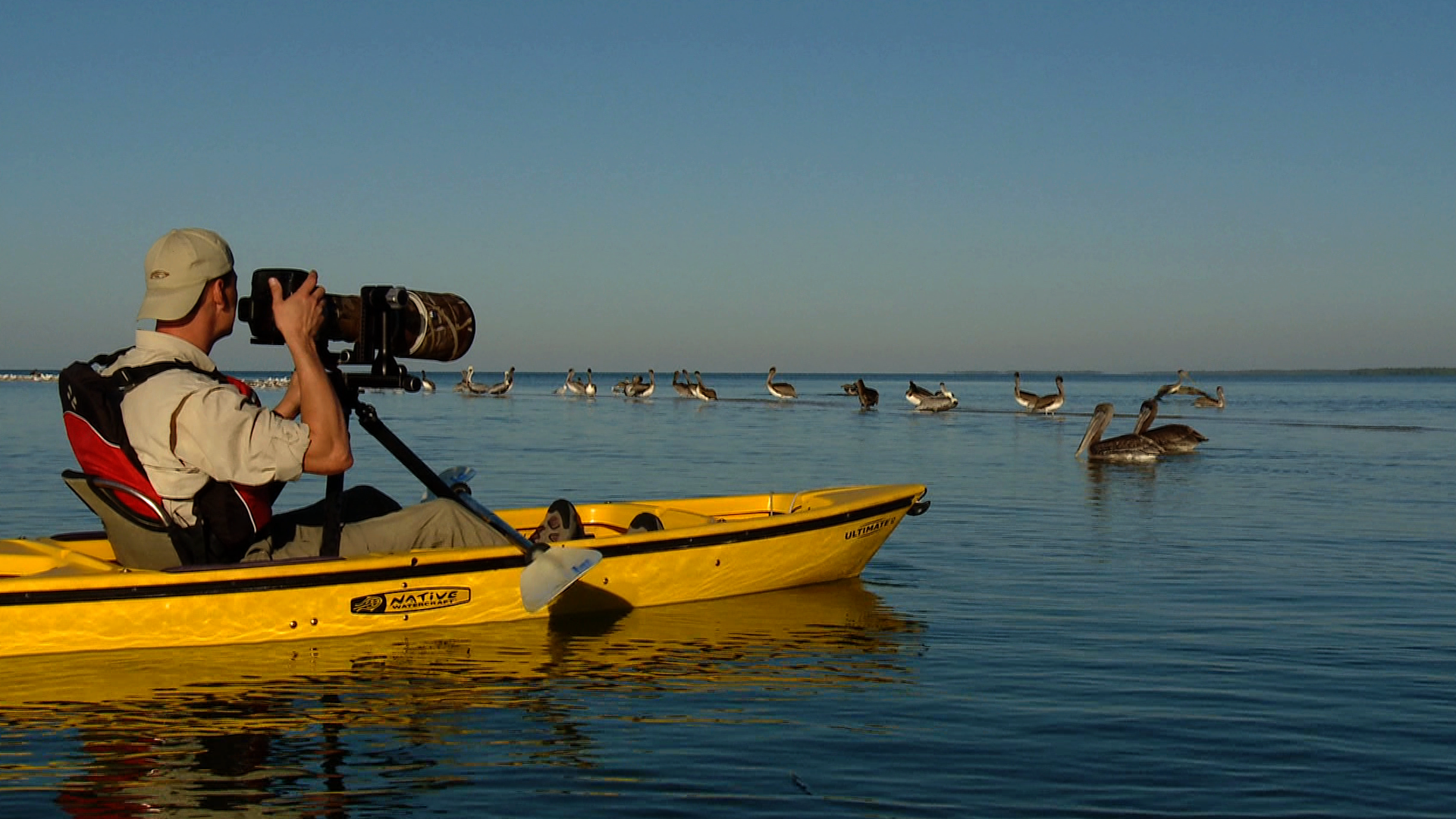 Featured image for this video