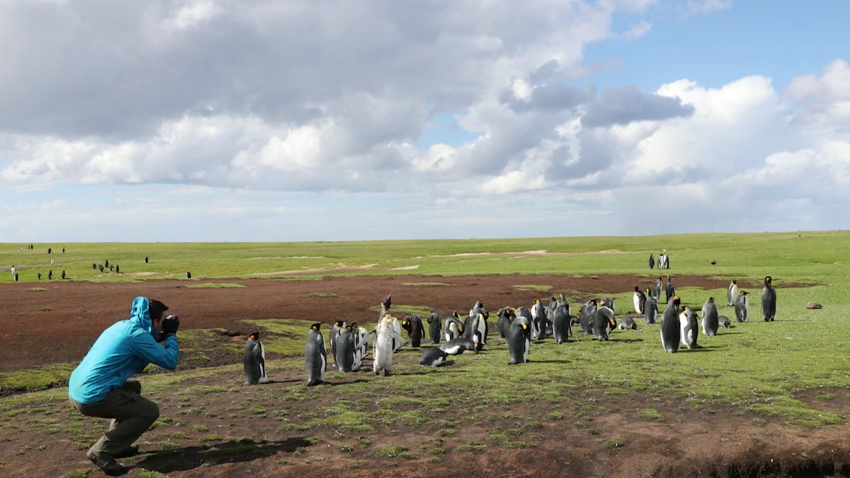 Featured image for this video