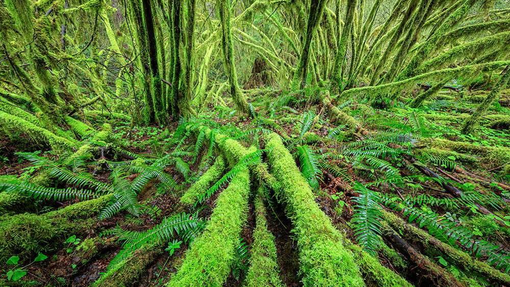 Featured image for this video