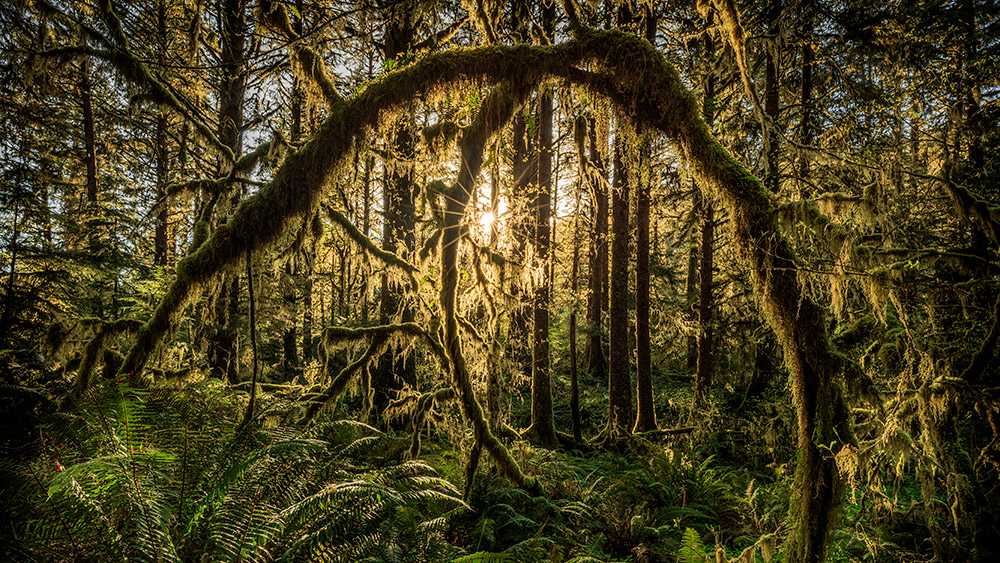 Featured image for this video