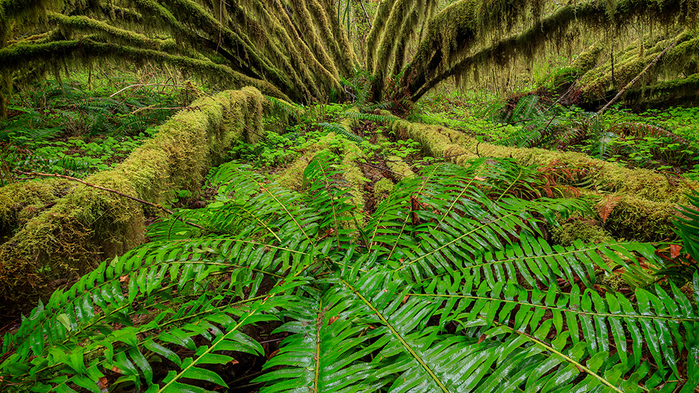 Featured image for this video