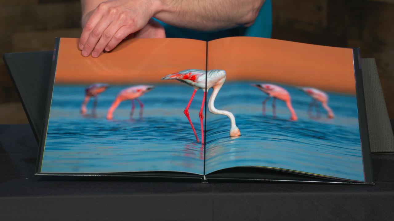 Featured image for this video