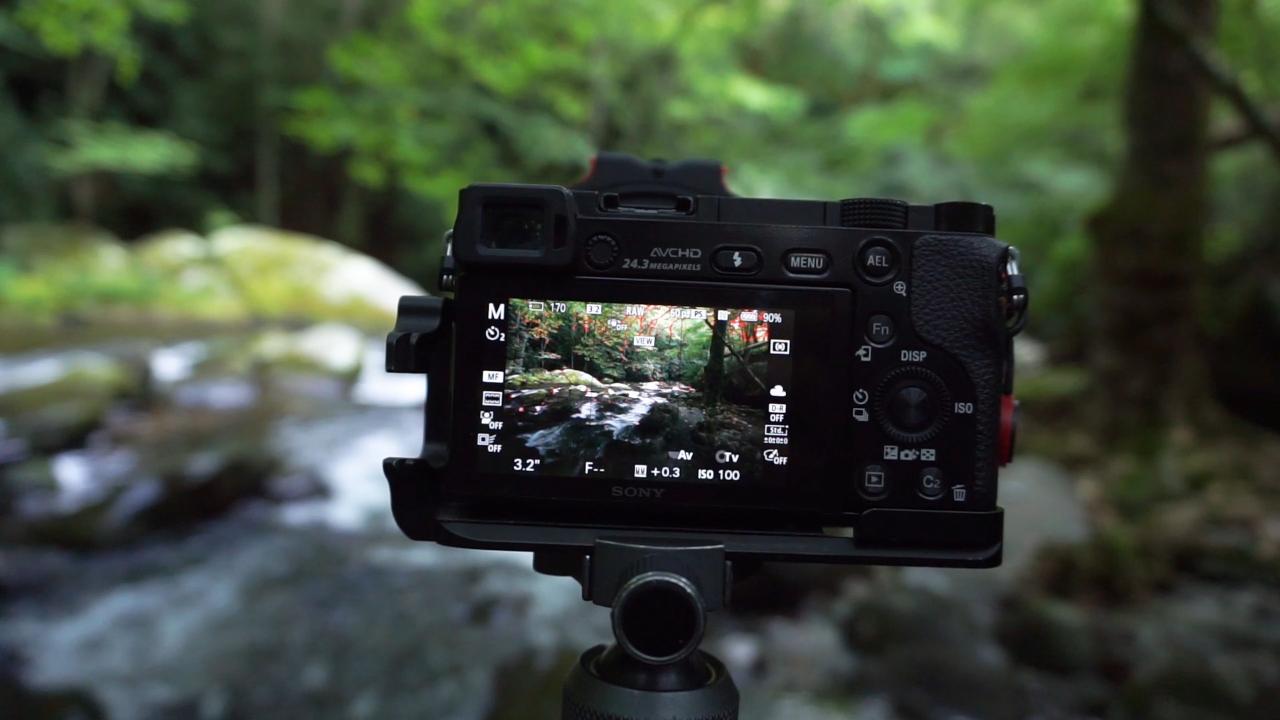 Featured image for this video