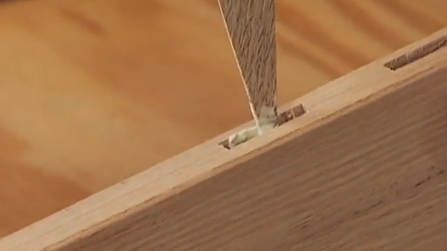 Featured image for this video