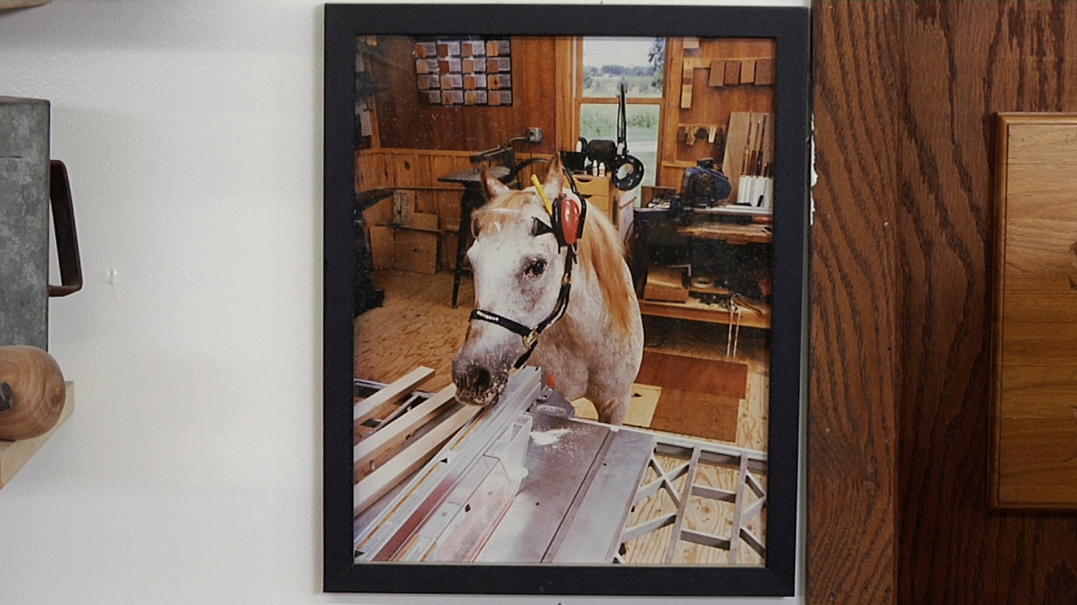 Featured image for this video