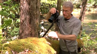 Wide-Angle Close-Ups