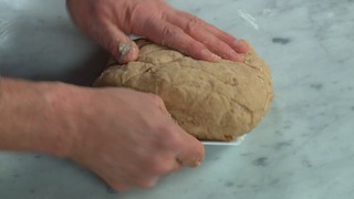 Dough Development &amp; Fermentation