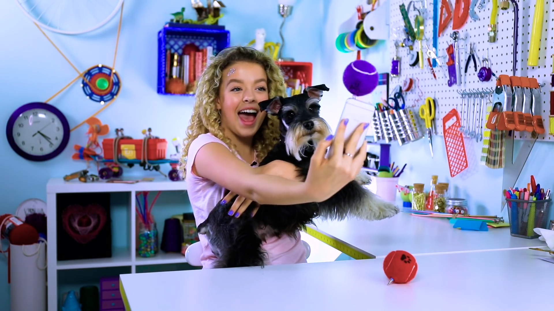 DIY Pet Hacks: Self-Filling Water Bowl, DIY Laser Pointer, Dog Selfie Hack