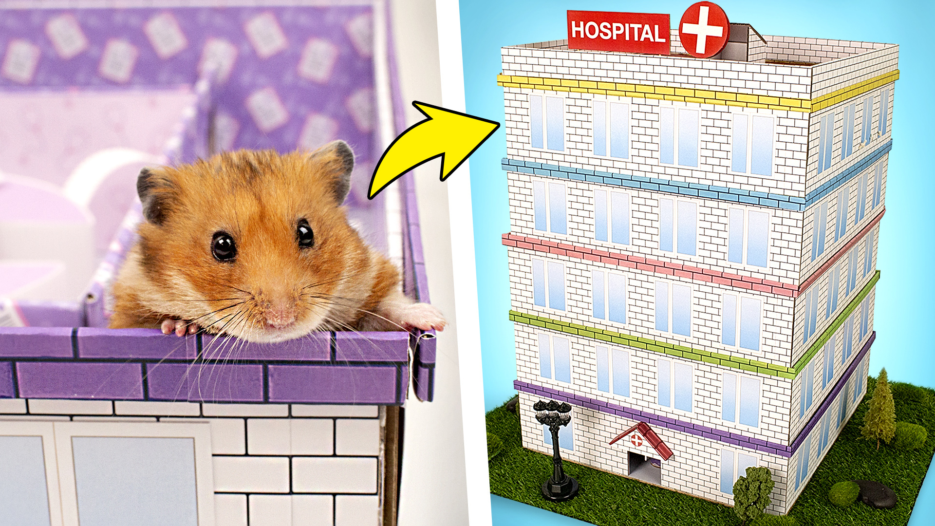 Two Coolest Hamster Mazes