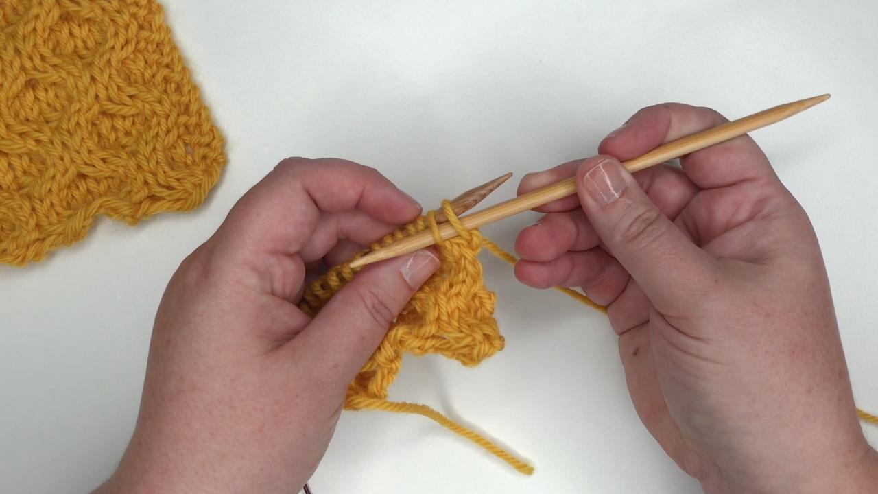 Vine Lace Stitch Pattern TKC