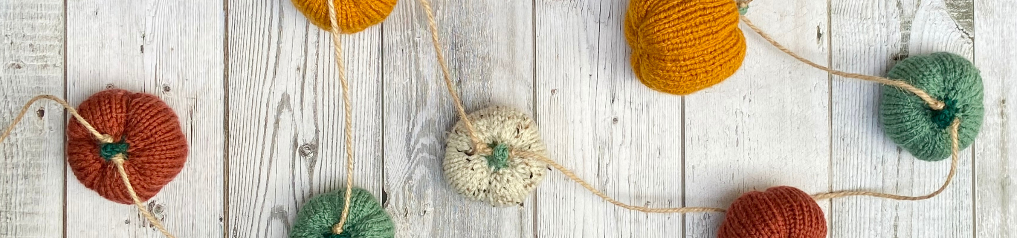 Mini Pumpkin Patch Garland