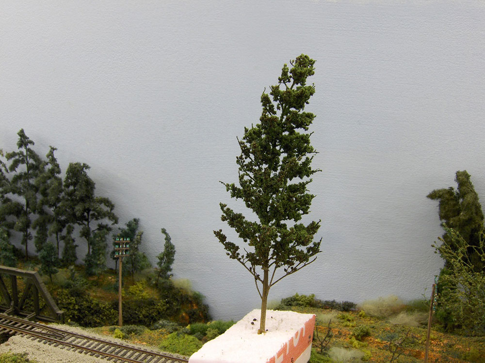 Making Scale Trees from Hydrangea Bloomsarticle featured image thumbnail.