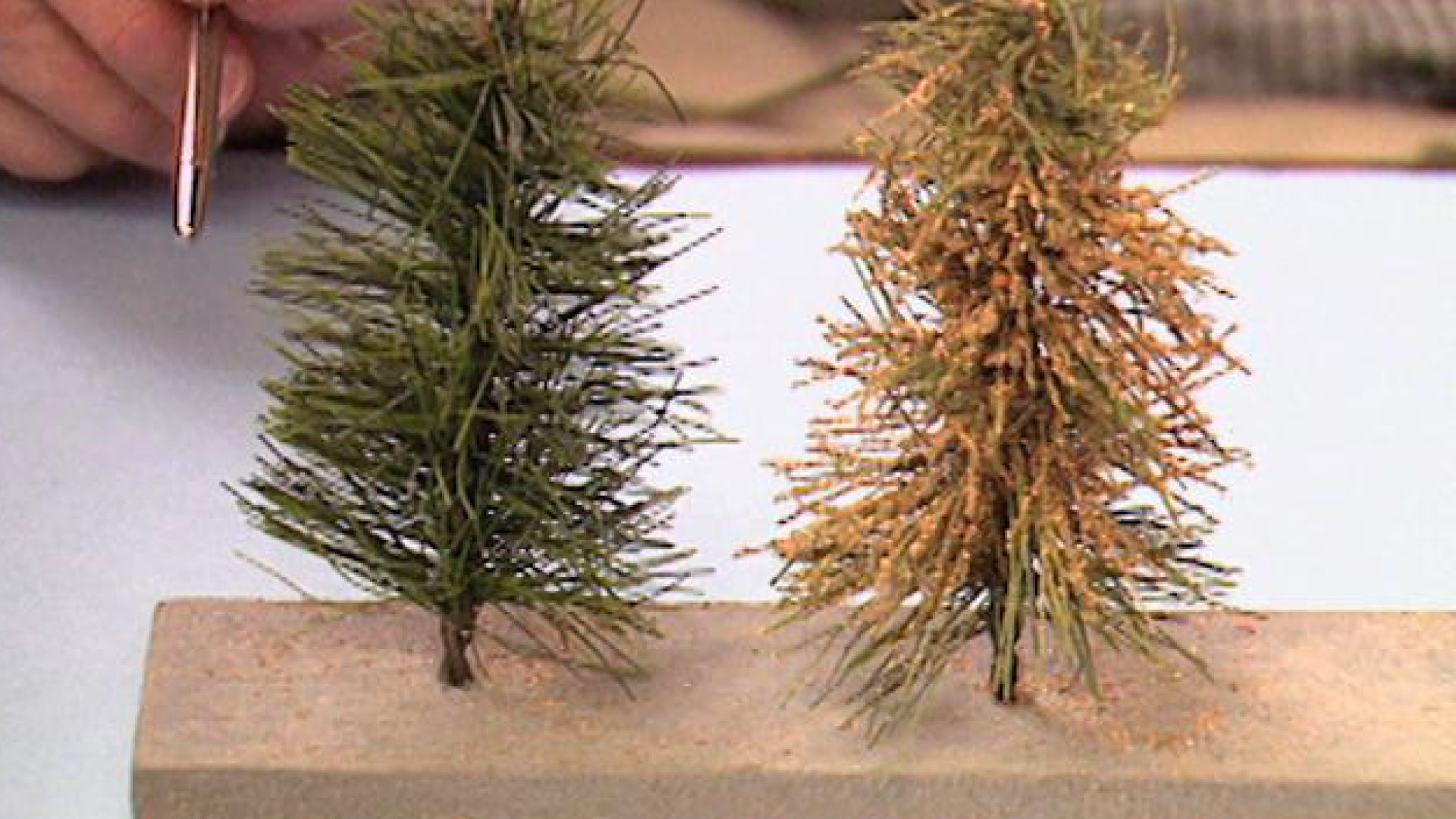 Creating Winter Trees with Paul Dolkos