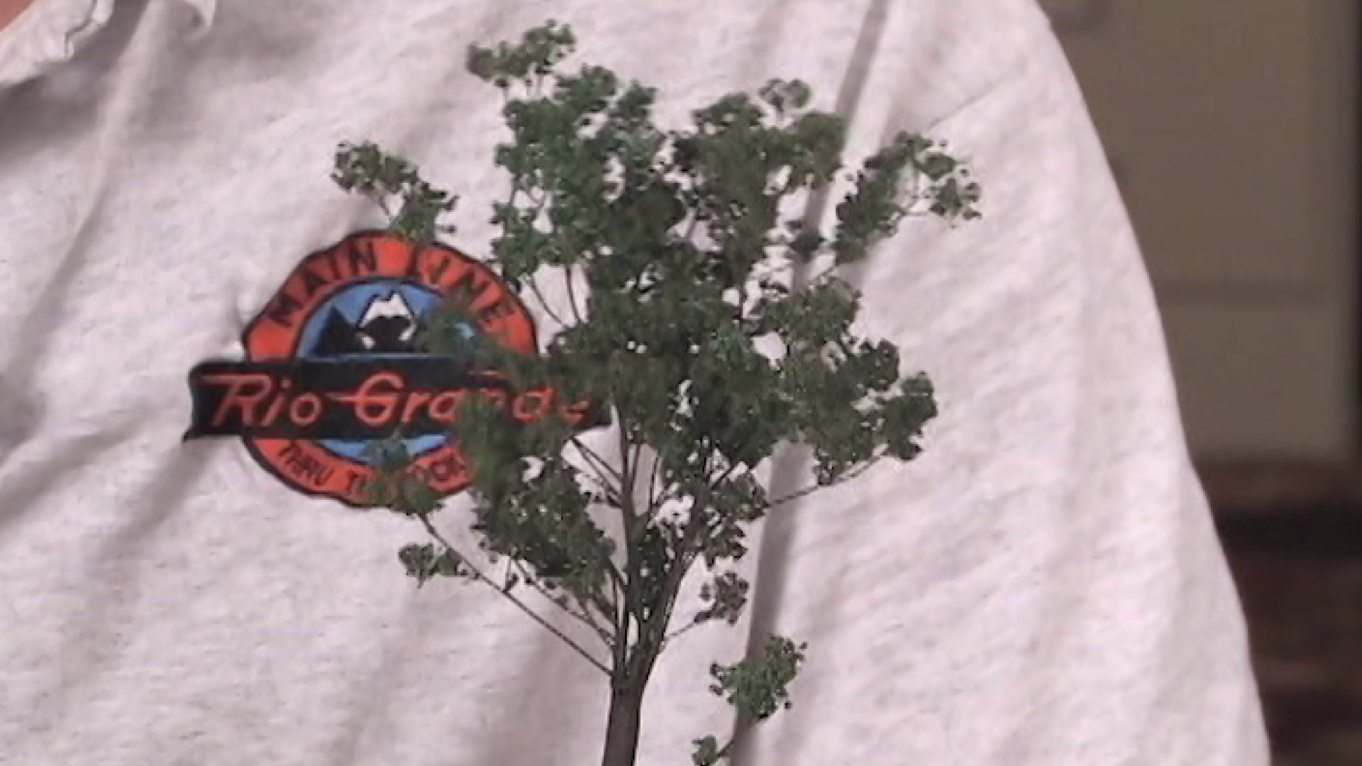 How to Make Model Railroad Trees for Your Background