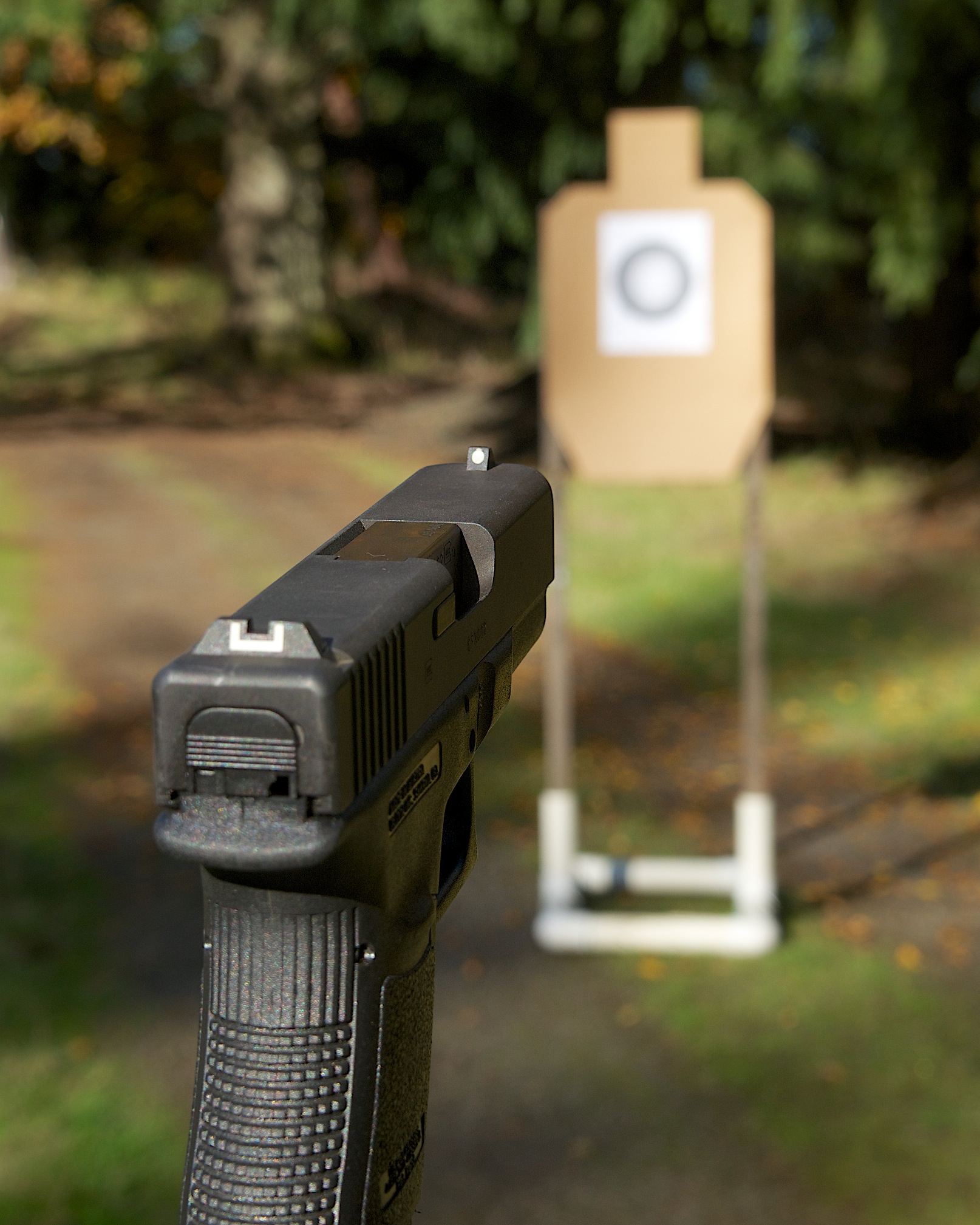 Image of a gun clear and a blurred target