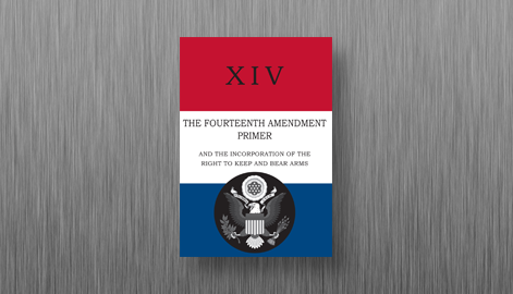 Fourteenth Amendment Book