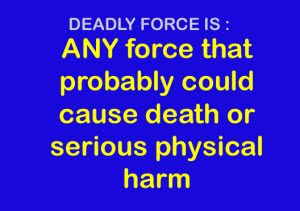 deadly-force-definition
