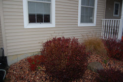 Make sure landscaping is trimmed, denying potential intruders any concealment.