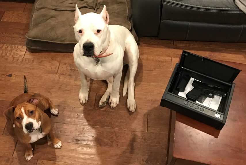 Are Your Dogs Part of Your HomeDefense Plan? Personal Defense Network