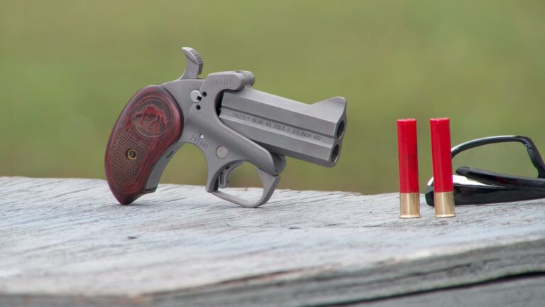 Birdshot for Personal Defenseproduct featured image thumbnail.