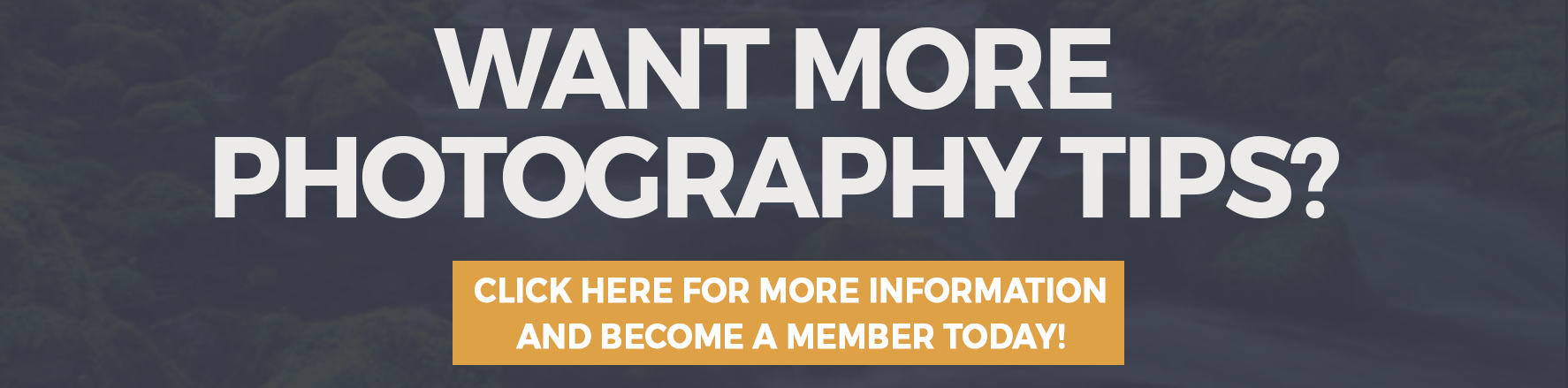 become a member