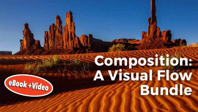 Composition: A Visual Flow Bundle