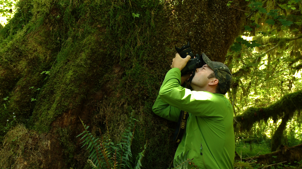 Zooming During Exposure Outdoor Photography Guide OPG