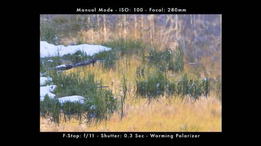 Landscape Photography: Shooting Grass | Outdoor Photography Guide
