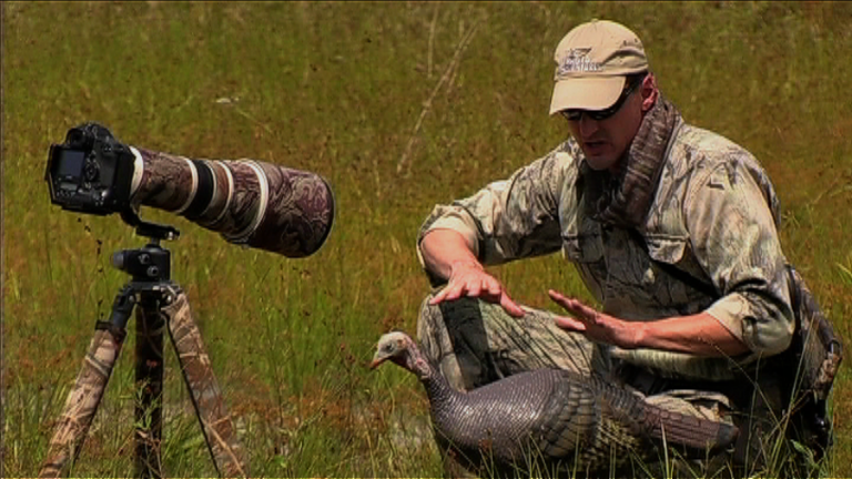 Photographing Eastern Wild Turkeys in the Afternoonproduct featured image thumbnail.