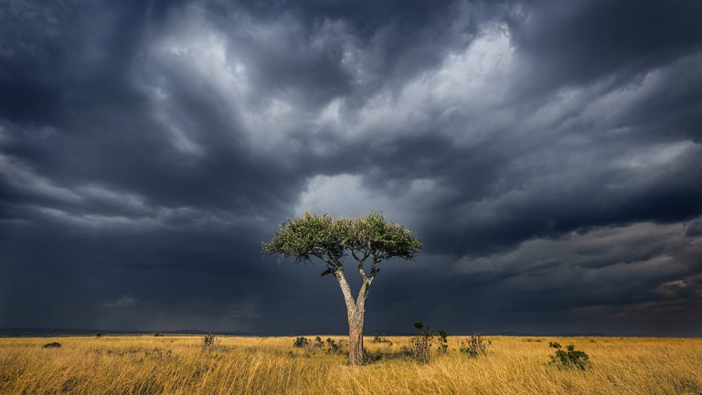 Wildlife Photography in Kenya: Introductionproduct featured image thumbnail.